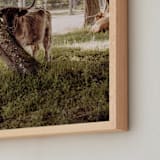 "Timid Beauty" - Art Print in Almond Butter by Hollie Renner Photography - Frame Close-up
