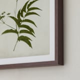 "Foraged III" - Art Print in Verdant by Kamala Nahas - Frame Close-up