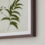 "Foraged III" - Art Print in Verdant by Kamala Nahas - Frame Close-up