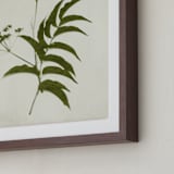 "Foraged III" - Art Print in Verdant by Kamala Nahas - Frame Close-up
