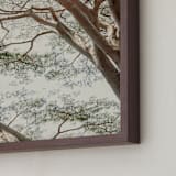 "Tapestry II" - Art Print in Woodland Green by Alicia Abla - Frame Close-up