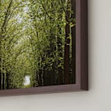 "Canopy of Trees" - Art Print in Green by Eric Clegg - Frame Close-up