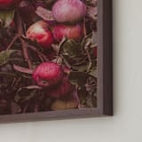 "Apple Season" - Art Print in Ripe Red by Justine Bicknell - Frame Close-up