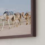 "Three is a Crowd" - Art Print in Desert by Kir Tuben - Frame Close-up