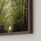 "Canopy of Trees" - Art Print in Green by Eric Clegg - Frame Close-up