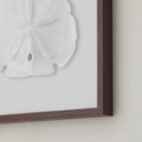 "Modern Sand Dollar" - Art Print in Ice Grey by Artsy Canvas Girl Designs - Frame Close-up