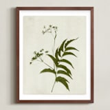 "Foraged III" - Art Print in Verdant by Kamala Nahas - Framed