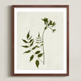 "Foraged II" - Art Print in Verdant by Kamala Nahas - Framed