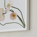 "Poppies II" - Art Print in Stem by Blustery August - Frame Close-up