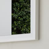 "verdant garden III" - Art Print in leaf by Sara Hicks Malone - Frame Close-up