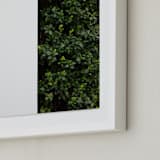 "verdant garden III" - Art Print in leaf by Sara Hicks Malone - Frame Close-up