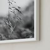 "Dancing grass" - Art Print in Mist by Magdalena Kucova - Frame Close-up