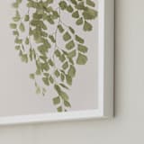 "Softness" - Art Print in Olive branch by Eliane Lamb - Frame Close-up