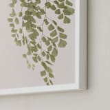"Softness" - Art Print in Olive branch by Eliane Lamb - Frame Close-up