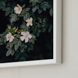 "Moody white roses" - Art Print in deep green by Hanke Arkenbout - Frame Close-up