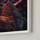 "shaded 1" - Art Print in color by Kamala Nahas - Frame Close-up