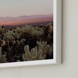 "Joshua Tree II" - Art Print in Desert by Jenna Gibson - Frame Close-up