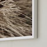"Summertime 2" - Art Print in Lucca by Bethania Lima - Frame Close-up