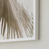 "Vanilla Palm" - Art Print in Day by Owl and Toad - Frame Close-up