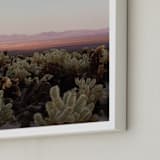 "Joshua Tree II" - Art Print in Desert by Jenna Gibson - Frame Close-up