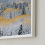 "Autumn Snowfall" - Art Print in Mustard by Eric Clegg - Frame Close-up
