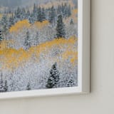 "Autumn Snowfall" - Art Print in Mustard by Eric Clegg - Frame Close-up