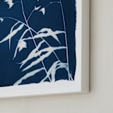 "Sea Oats Cyanotype" - Art Print in Ocean by Renée Stramel - Frame Close-up