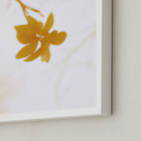 "Morning II" - Art Print in Amber by Stellax Creative - Frame Close-up