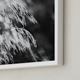 "Dancing grass II" - Art Print in Shadow by Magdalena Kucova - Frame Close-up
