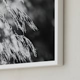 "Dancing grass II" - Art Print in Shadow by Magdalena Kucova - Frame Close-up
