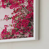 "Bright Bougainvillea" - Art Print in Bright Pink by The One With Wanderlust - Frame Close-up