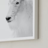 "Fierce" - Art Print in Mountain Granite by Jamie Lollback - Frame Close-up