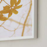 "Morning I" - Art Print in Amber by Stellax Creative - Frame Close-up