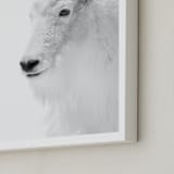 "Fierce" - Art Print in Mountain Granite by Jamie Lollback - Frame Close-up
