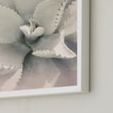 "Southwestern Succulent" - Art Print in Dusty Pastel by Wilder California - Frame Close-up
