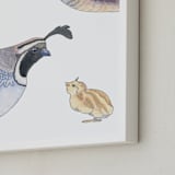 "The Quail Family" - Art Print in soft gold by Natalie Groves - Frame Close-up
