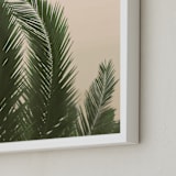 "Tropical Palm Tree" - Art Print in Golden by Wilder California - Frame Close-up