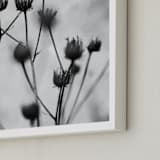 "Autumn detail" - Art Print in Fog by Magdalena Kucova - Frame Close-up