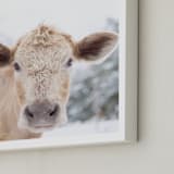 "moo cow" - Art Print in Burlap by Emily Gilbert - Frame Close-up