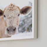 "moo cow" - Art Print in Burlap by Emily Gilbert - Frame Close-up