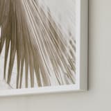 "Vanilla Palm" - Art Print in Day by Owl and Toad - Frame Close-up