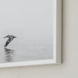 "Pelican on Lake" - Art Print in Medium Grey by Mary Ann Glynn-Tusa - Frame Close-up