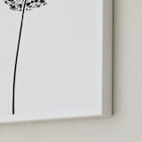 "dandelion" - Art Print in shadow black by Yuke Li - Frame Close-up