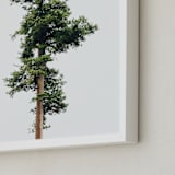 "Solo" - Art Print in spring rain by Kamala Nahas - Frame Close-up