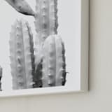 "Moorten Cactus Study 1" - Art Print in Silver Grey by Lisa Sundin - Frame Close-up
