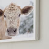 "moo cow" - Art Print in Burlap by Emily Gilbert - Frame Close-up
