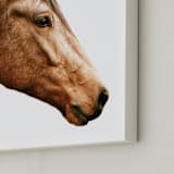 "Dominant Spirit" - Art Print in Chestnut by Robin Ott - Frame Close-up