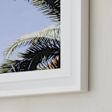 "Palm I" - Art Print in Sky Blue by Annie Montgomery - Frame Close-up