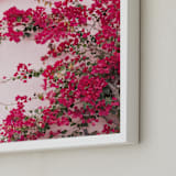 "Bright Bougainvillea" - Art Print in Bright Pink by The One With Wanderlust - Frame Close-up