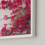 "Bright Bougainvillea" - Art Print in Bright Pink by The One With Wanderlust - Frame Close-up